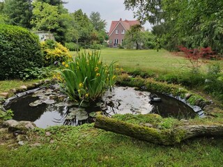 Teich mit Blick auf Garten und Haus