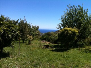 Holiday house Lingueglietta Outdoor Recording 7