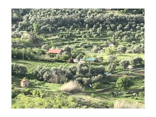 Casa per le vacanze Lingueglietta Registrazione all'aperto 10