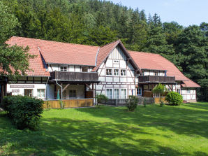 Ferienwohnung im Ferienhaus Nexö - 1 Schlafzimmer - Ilsenburg - image1