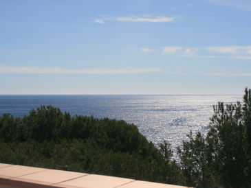 Villa Can Camelia
