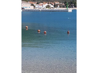 Martinscica