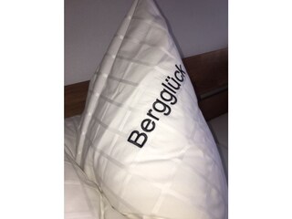 Appartamento per vacanze Reit im Winkl Caratteristiche 7