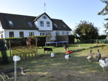 Holiday apartment Deubert-Gerhmann 2