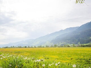 Casa per le vacanze Niedernsill Ambiente 33
