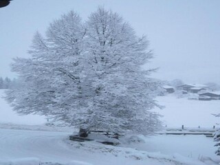 Ferienhaus Niedernsill Umgebung 32