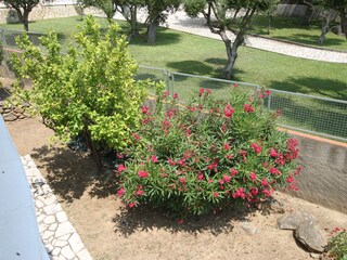 Villa Palau-Saverdera Buitenaudio-opname 11