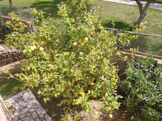 Villa Palau-Saverdera Buitenaudio-opname 13