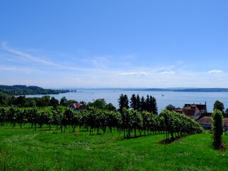Blick auf Bodensee