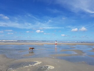 Apartamento de vacaciones Buren Entorno 15