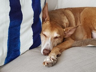 Appartement de vacances Buren Environnement 18