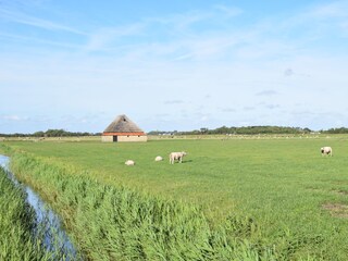 Bungalow De Koog Documento 45