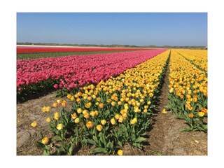 Bungalow De Koog Ambiente 30