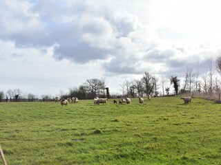 Casa per le vacanze Appeville Registrazione all'aperto 4