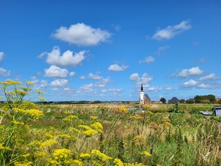 Vakantiehuis Den Hoorn Omgeving 34