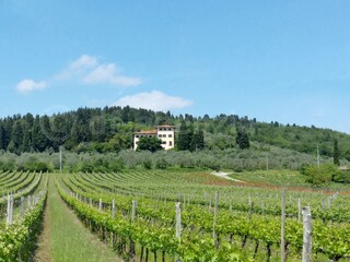 Villa Rignano sull'Arno Registrazione all'aperto 8