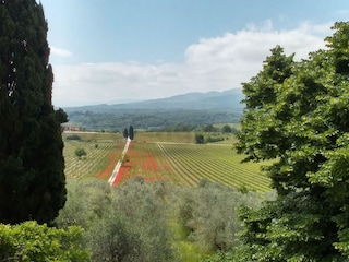 Villa Rignano sull'Arno Außenaufnahme 4