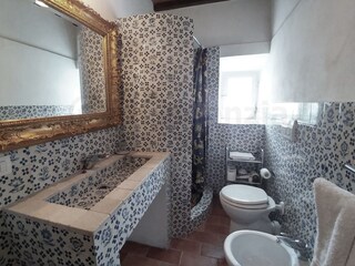 Villa Rignano sull'Arno Caratteristiche 31