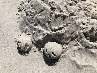 Schildkröte aus Sand