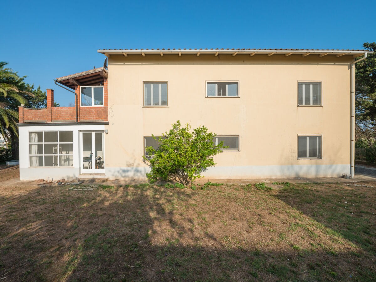 House, view from the garden