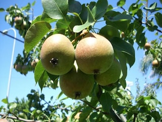 Villa Sanxenxo Umgebung 26