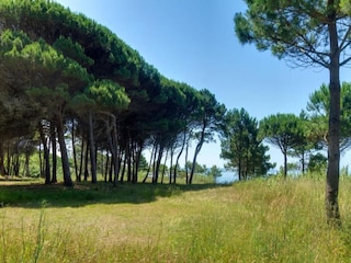 Villa Sanxenxo Ambiente 34