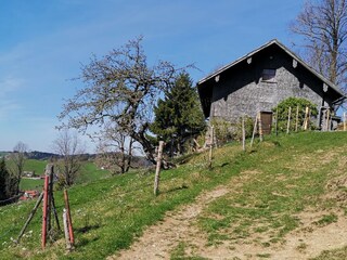 Holiday apartment Oberstaufen  31