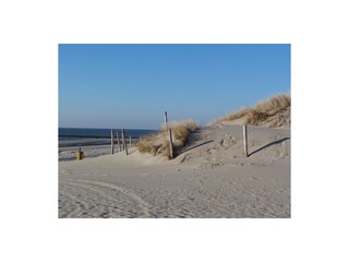 Vakantieappartement Callantsoog Omgeving 12
