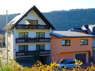 Holiday apartment Neumagen-Dhron Outdoor Recording 9