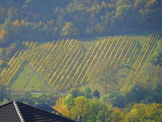Holiday apartment Neumagen-Dhron  28