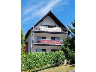 Holiday apartment Neumagen-Dhron Outdoor Recording 4