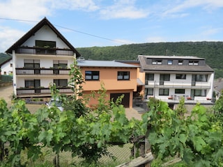 Holiday apartment Neumagen-Dhron Outdoor Recording 2