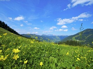 Appartamento Saalbach Ambiente 30