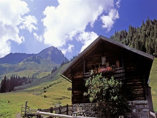 Chalet Saalbach Umgebung 24