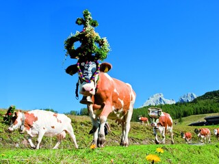 Appartamento per vacanze Filzmoos  31