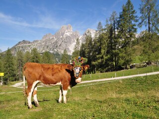 Appartamento per vacanze Filzmoos  25