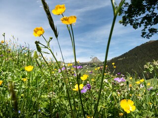 Appartamento per vacanze Damüls Ambiente 18