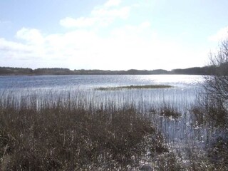 Appartamento per vacanze Nes Ambiente 22