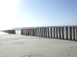 Appartamento per vacanze Nes Ambiente 25