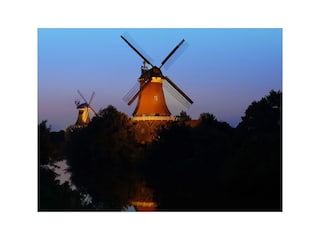 Ferienwohnung Norddeich Umgebung 17