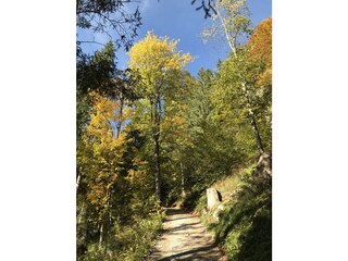 Appartamento per vacanze Kössen Ambiente 22