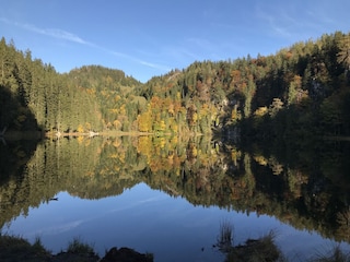 Taubensee