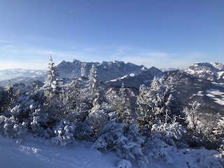 Aussicht vom Unterberg auf den Wilden Kaiser