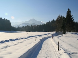 Herrliche Winterwanderwege