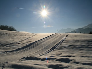 Schöne Langlaufloipen