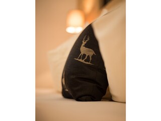 Appartamento per vacanze St. Lorenzen im Pustertal Caratteristiche 13