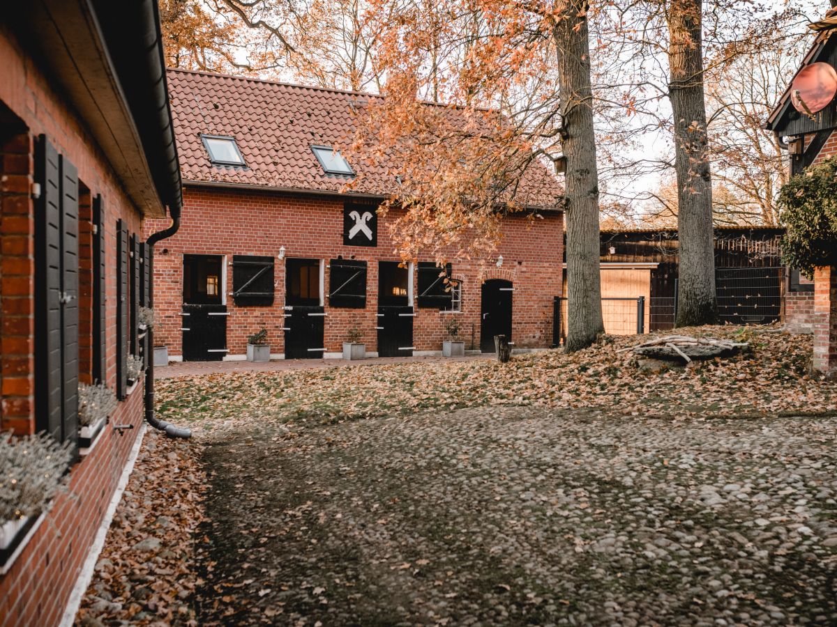 Single frauen soltau
