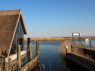 Hafen in Zingst