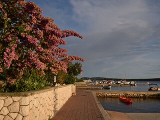 Appartamento per vacanze Barbat Ambiente 26