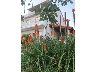 Appartamento per vacanze Barbat Registrazione all'aperto 8